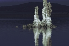 201223_MonoLake009-copy_fullrez4web